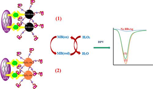 Dual Amplified Electrochemical Immunosensor for Hepatitis B Virus ...