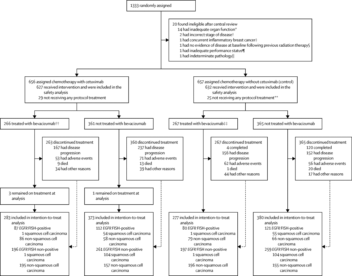 Cetuximab plus carboplatin and paclitaxel with or without bevacizumab ...