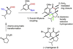 Formal Total Synthesis Of (−)-hamigeran B From A Chemo-enzymatically ...