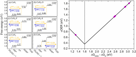 Bifunctional CoN x embedded graphene electrocatalysts for OER and ORR ...