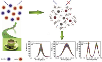 “Turn-off” fluorescent sensor based on double quantum dots coupled with ...