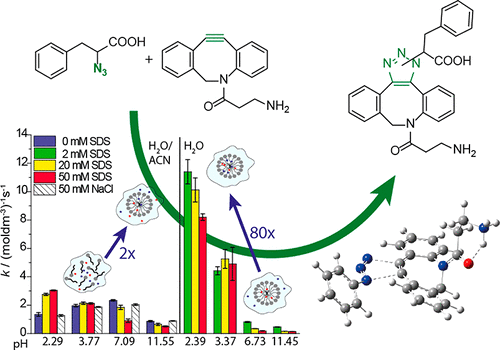 Investigation of Strain-Promoted Azide–Alkyne Cycloadditions in Aqueous ...
