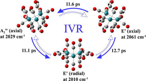 Efficient Intramolecular Vibrational Excitonic Energy Transfer in Ru3 ...