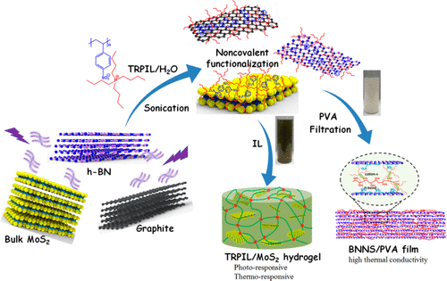 Aqueous Phase Exfoliation of Two-Dimensional Materials Assisted by ...