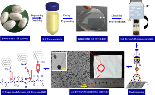 Improving Antibacterial Activity And Biocompatibility Of Bioinspired ...