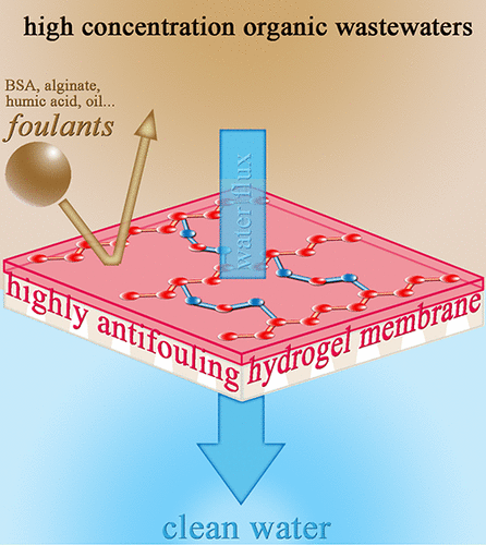 Superior Antifouling Capability Of Hydrogel Forward Osmosis Membrane ...