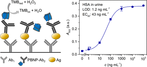 Prussian Blue Nanoparticles As A Catalytic Label In A Sandwich Nanozyme ...