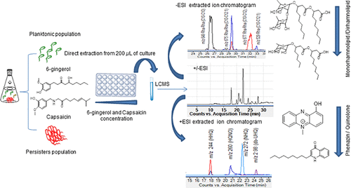 establishment-of-lcms-based-platform-for-discovery-of-quorum-sensing