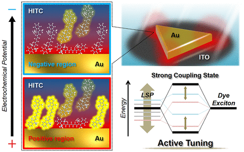 Active Tuning of Strong Coupling States between Dye Excitons and ...