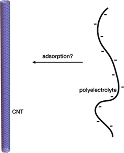 Controlling Polyelectrolyte Adsorption Onto Carbon Nanotubes By Tuning ...