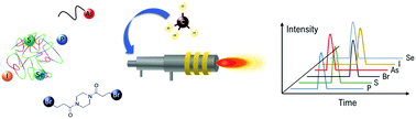 Universal absolute quantification of biomolecules using element mass ...