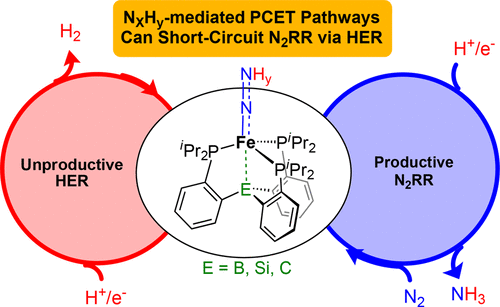 Fe Mediated Her Vs N2rr Exploring Factors That Contribute To Selectivity In P3efe N2 E B Si C Catalyst Model Systems Acs Catalysis X Mol