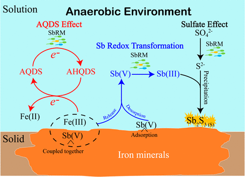地下的锑氧化还原生物转化:土著Sb(V)呼吸菌群的影响,Environmental Science & Technology - X-MOL