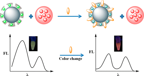 Molecular Imprinting Based Hybrid Ratiometric Fluorescence 