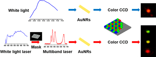 A Novel Color Modulation Analysis Strategy through Tunable Multiband ...