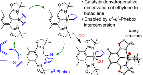 Selective Dehydrogenative Coupling of Ethylene to Butadiene via an ...