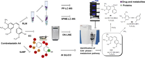 Untargeted Screening Of Phase I Metabolism Of Combretastatin By Multi Tool Analysis Talanta X Mol