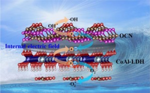 Photogenerated charge transfer via interfacial internal electric field ...