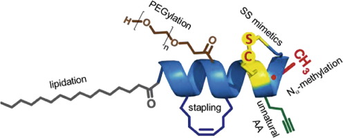 Peptide Chemistry Toolbox – Transforming Natural Peptides Into Peptide ...