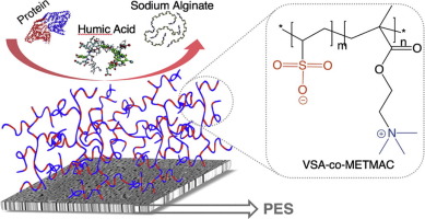 Surface and anti-fouling properties of a polyampholyte hydrogel grafted ...