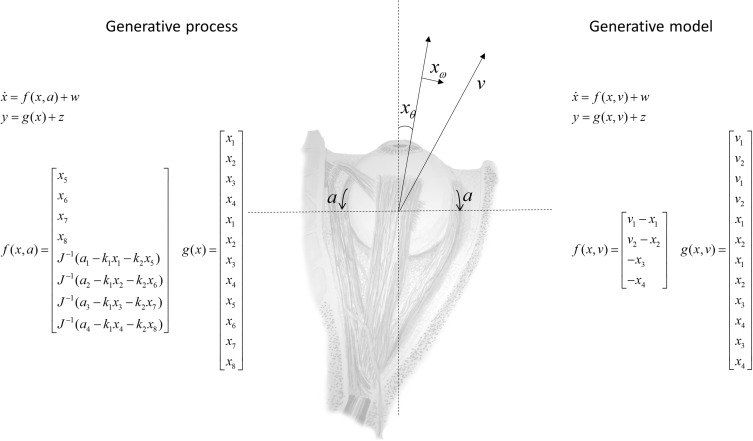 Active inference and the anatomy of oculomotion,Neuropsychologia - X-MOL