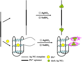 Highly sensitive and selective detection of Pb2+ using a turn-on ...