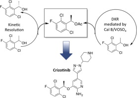 Studies on the dynamic resolution of Crizotinib intermediate,Bioorganic ...