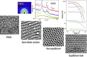 Self-assembly Of Polystyrene- B -poly(2-vinylpyridine)- B -poly ...