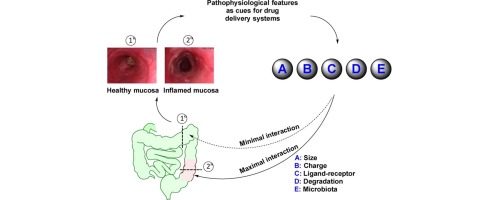 Nanoparticulate Drug Delivery Systems Targeting Inflammation For ...