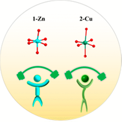 Jahn–Teller Effect on Framework Flexibility of Hybrid Organic–Inorganic ...