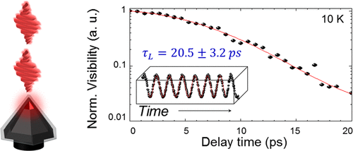 Strongly Coherent Single-Photon Emission from Site-Controlled InGaN ...