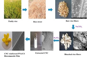 Development of polyvinyl alcohol/chitosan bio-nanocomposite films ...