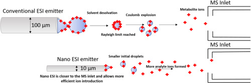 A Review Of Nanoscale Lc Esi For Metabolomics And Its Potential To Enhance The Metabolome Coverage Talanta X Mol