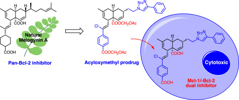 Dual inhibitors of the pro-survival proteins Bcl-2 and Mcl-1 derived ...