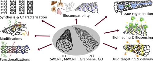 Recent advances in bioactive 1D and 2D carbon nanomaterials for ...