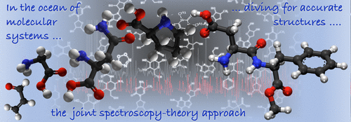 Diving for Accurate Structures in the Ocean of Molecular Systems with the Help of Spectroscopy 