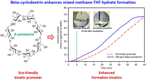 Effect of Eco-Friendly Cyclodextrin on the Kinetics of Mixed Methane ...
