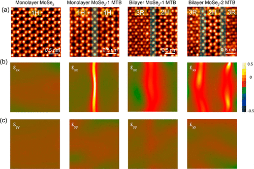 Strain Modulation by van der Waals Coupling in Bilayer Transition Metal ...