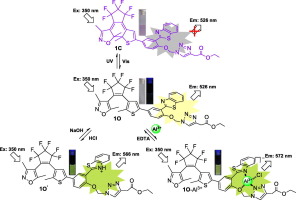 A novel fluorescence “turn-on” sensor based on a photochromic ...