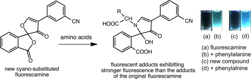A new cyano-substituted fluorescamine superior to its original form as ...