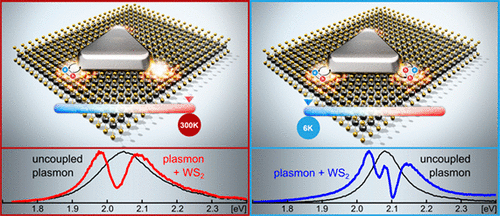 Observation of Tunable Charged Exciton Polaritons in Hybrid Monolayer ...