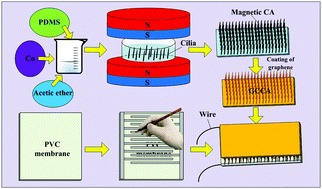 Bio-inspired highly flexible dual-mode electronic cilia†,Journal of ...