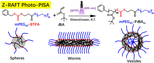 Expanding The Scope Of Polymerization-Induced Self-Assembly: Z-RAFT ...