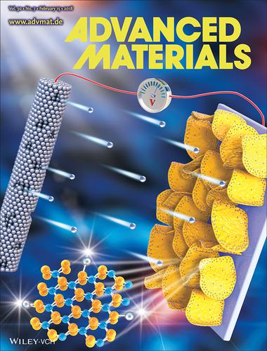 Hydrogen Evolution Reaction: High Edge Selectivity Of In Situ ...