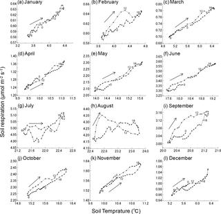 Seasonal and diurnal patterns of soil respiration in an evergreen ...