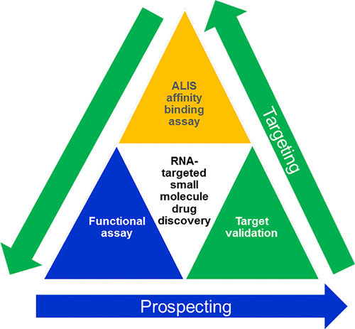 Discovery Of Selective RNA-Binding Small Molecules By Affinity ...