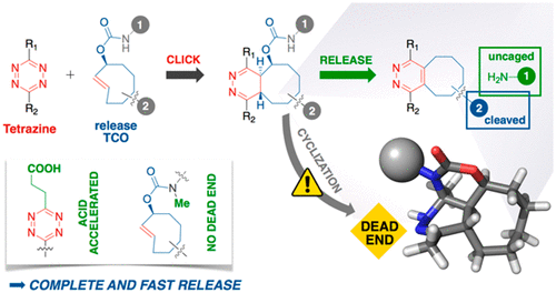 Unraveling Tetrazine-triggered Bioorthogonal Elimination Enables ...