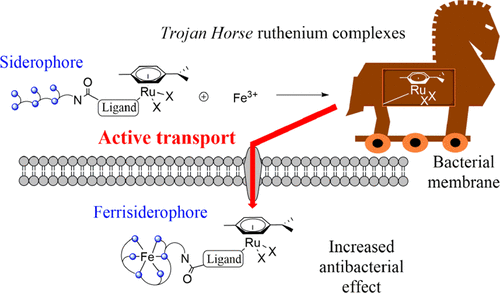 trojan horse effect