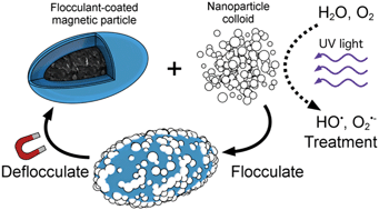 Magnetic flocculation for nanoparticle separation and catalyst ...