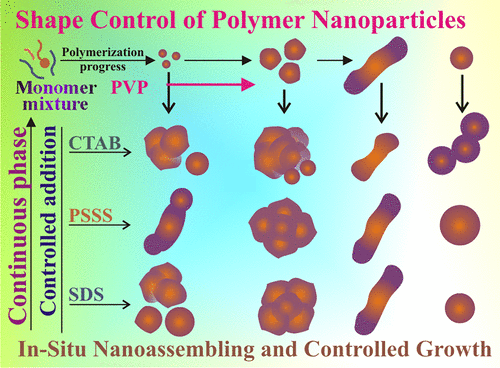 Single-Step In Situ Assembling Routes for the Shape Control of Polymer ...
